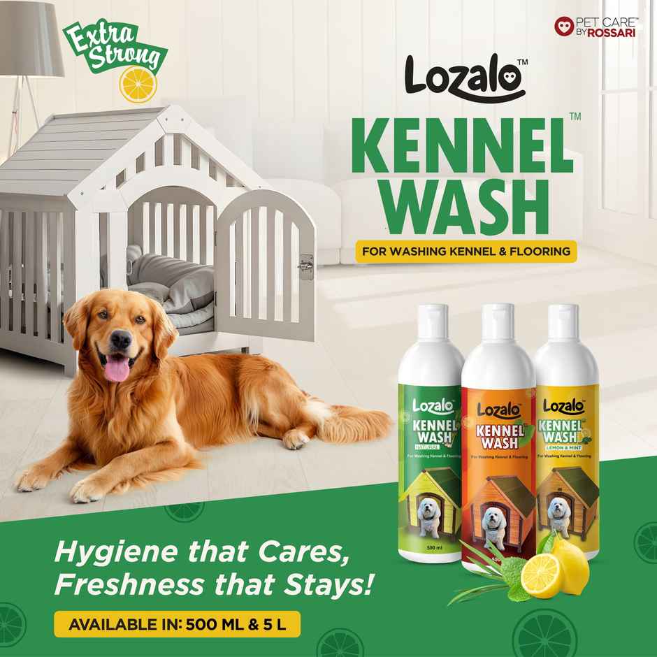 Lozalo Kennel Wash Liquid for Dog Kennel Flooring Pet Shops Clinics Salons Green