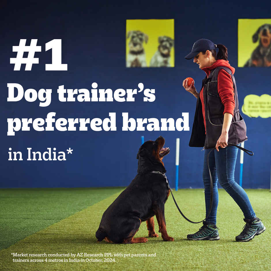 Pedigree Biscrok Chicken Flavour Dog Biscuits