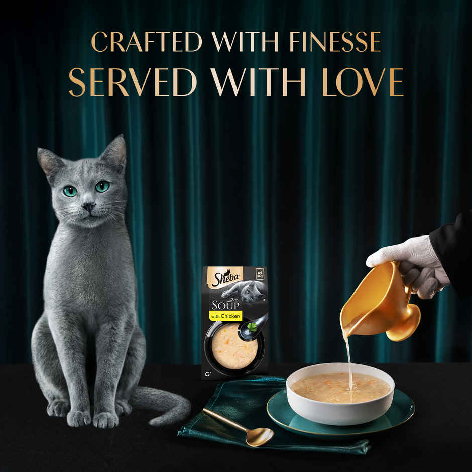 Sheba Soup With Chicken Premium Adult Wet Cat Food Pouches | Tender & Tasty Delight