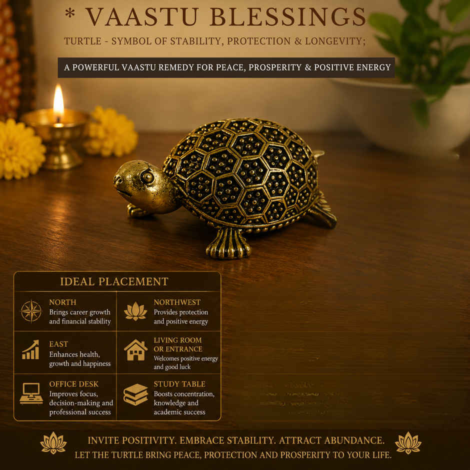 Pure Brass Tortoise | Estoria Collective