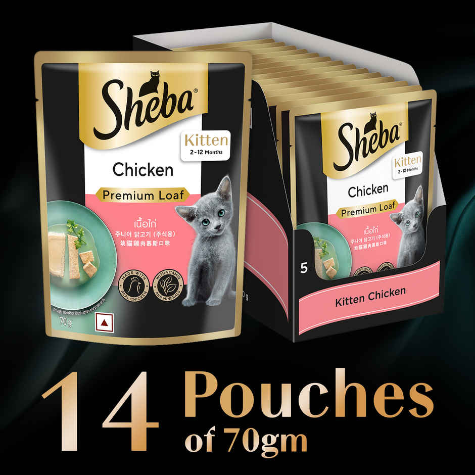 Sheba Fine Kitten Chicken Premium Loaf Wet Cat Food