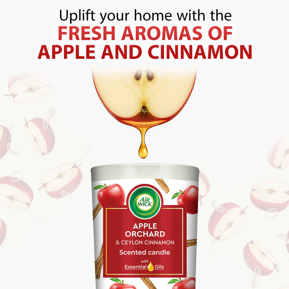 Airwick Home Fragrance Candle | Apple Orchard and Ceylon Cinnamon
