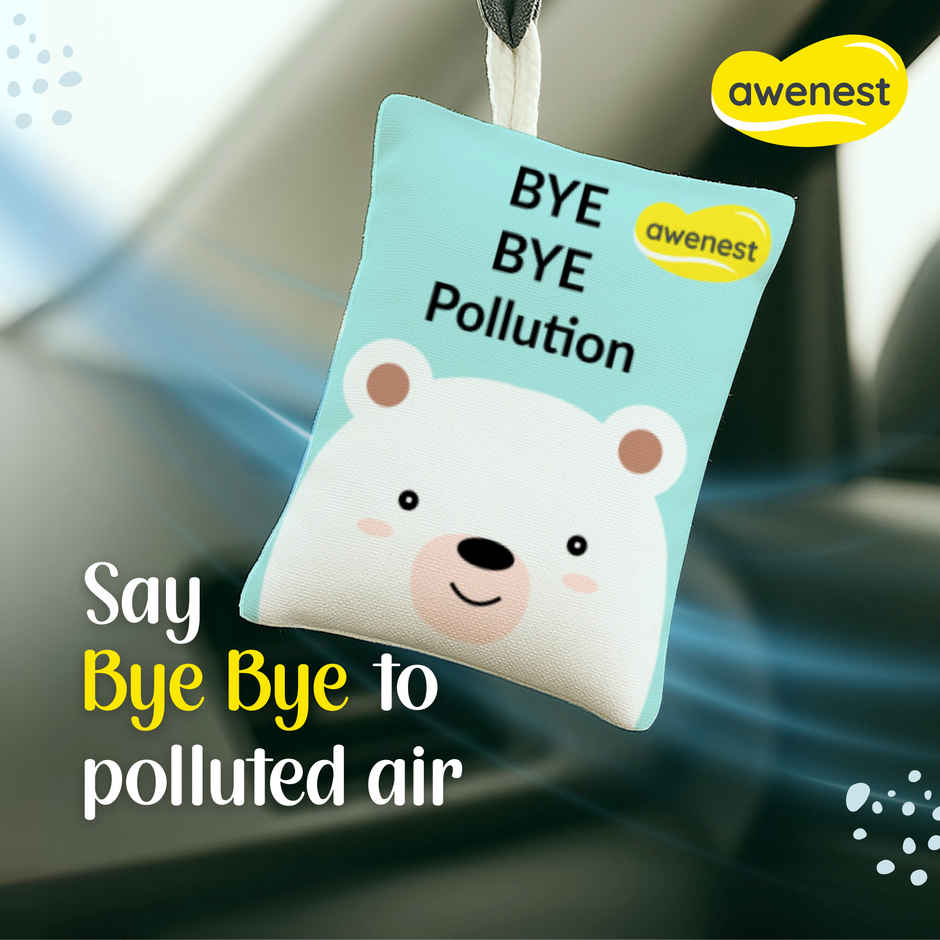 Awenest Bye Bye Pollution Air Purifier Activated Charcoal Bag