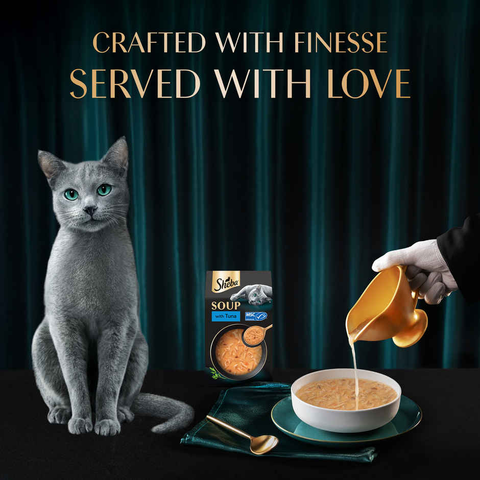 Sheba Soup With Tuna Premium Adult Wet Cat Food | Pouches Irresistible Flavor