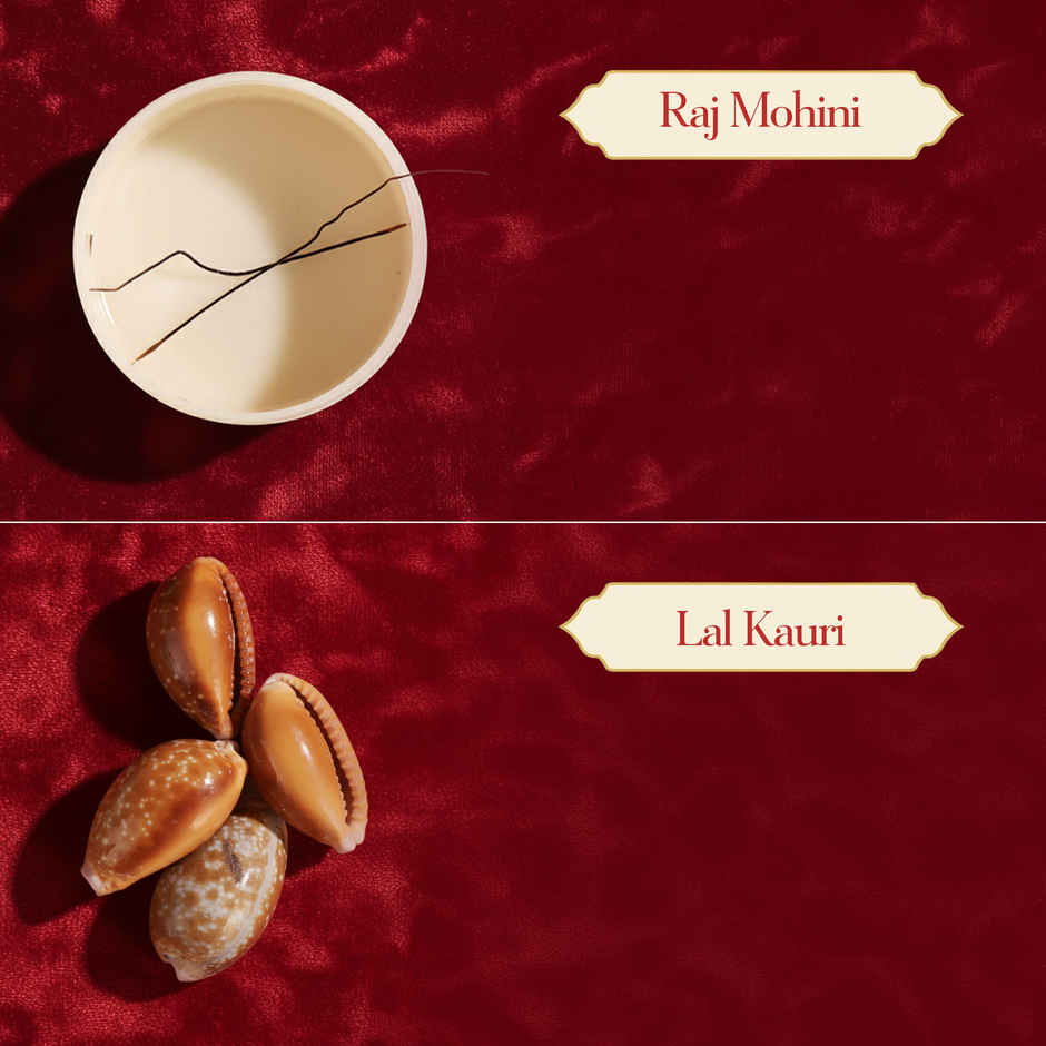 Dhanteras Kuber Potli | Pujashree