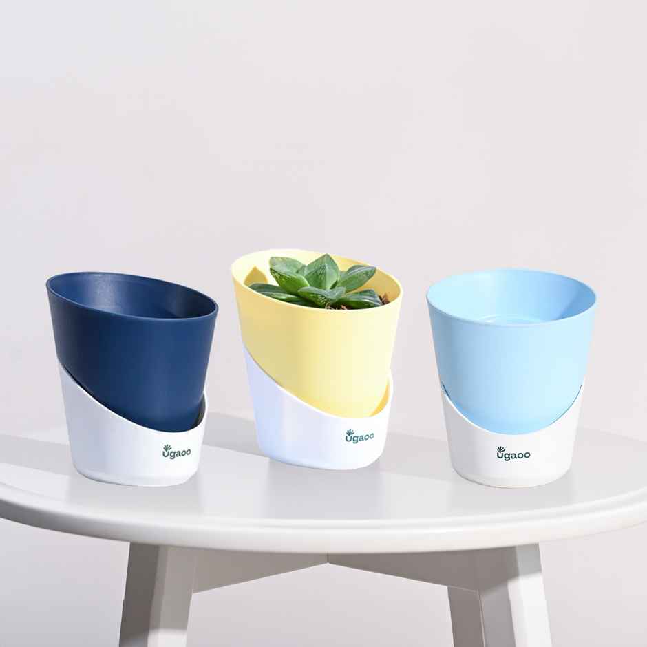 Ugaoo Atlantis Self Watering Planter - 4 Inch | Set of 3 | Midnight Blue, Pastel Blue, Yellow