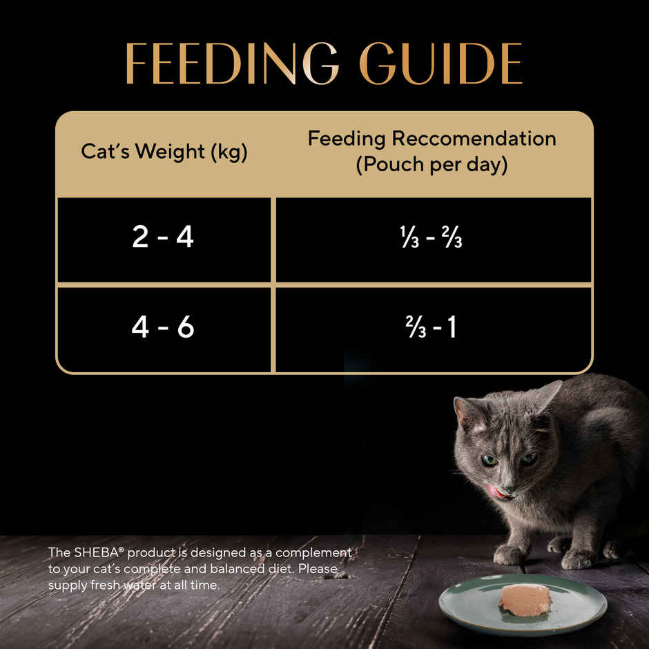 Sheba Rich Adult Skipjack & Salmon Flavour Wet Cat Food Combo  