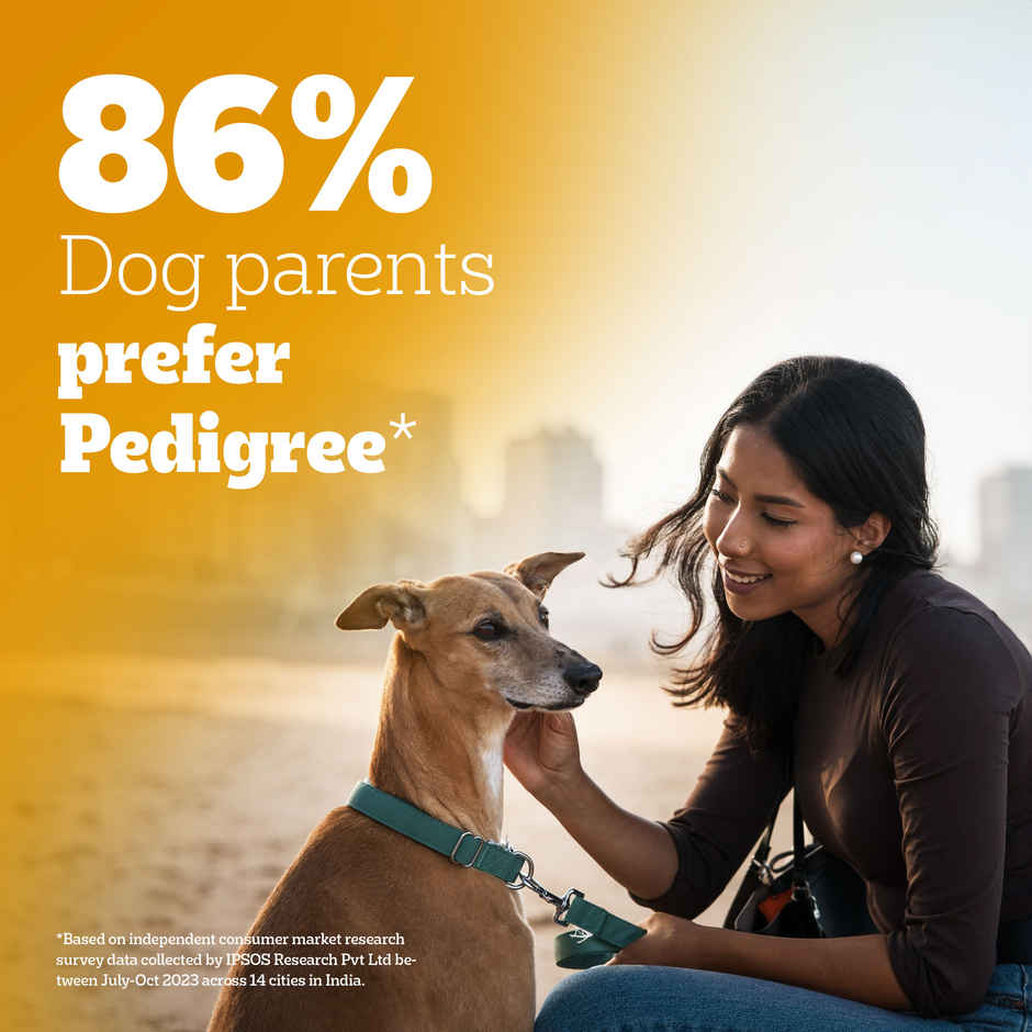 Pedigree Adult & Puppy Dry Dog Food | 100% Vegetarian