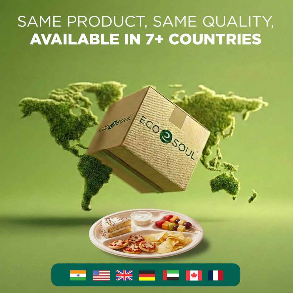 ECO SOUL | Bagasse Disposable Plates | 11 Inch | Round 4CP | 10 Count