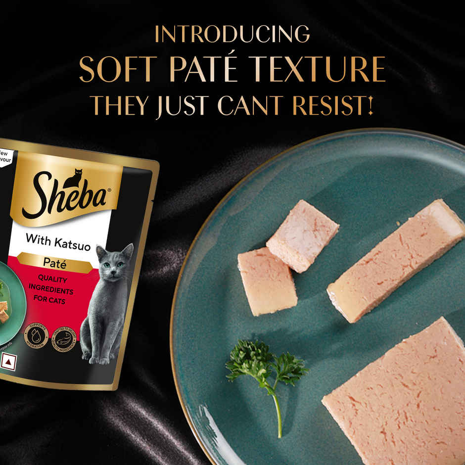 Sheba Pate Adult Wet Cat Food | Katsuo