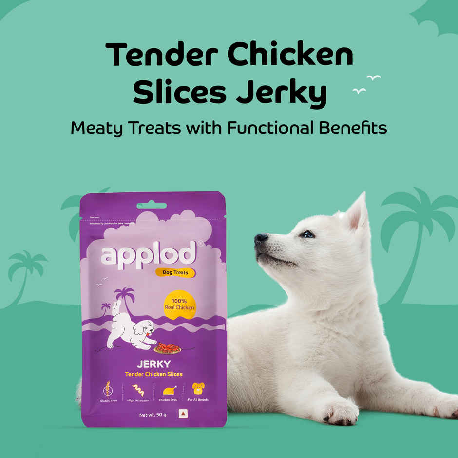 Applod Dehydrated Chicken Slices Dog Treat | Gluten Free Treats | For Puppy & Adult Dogs