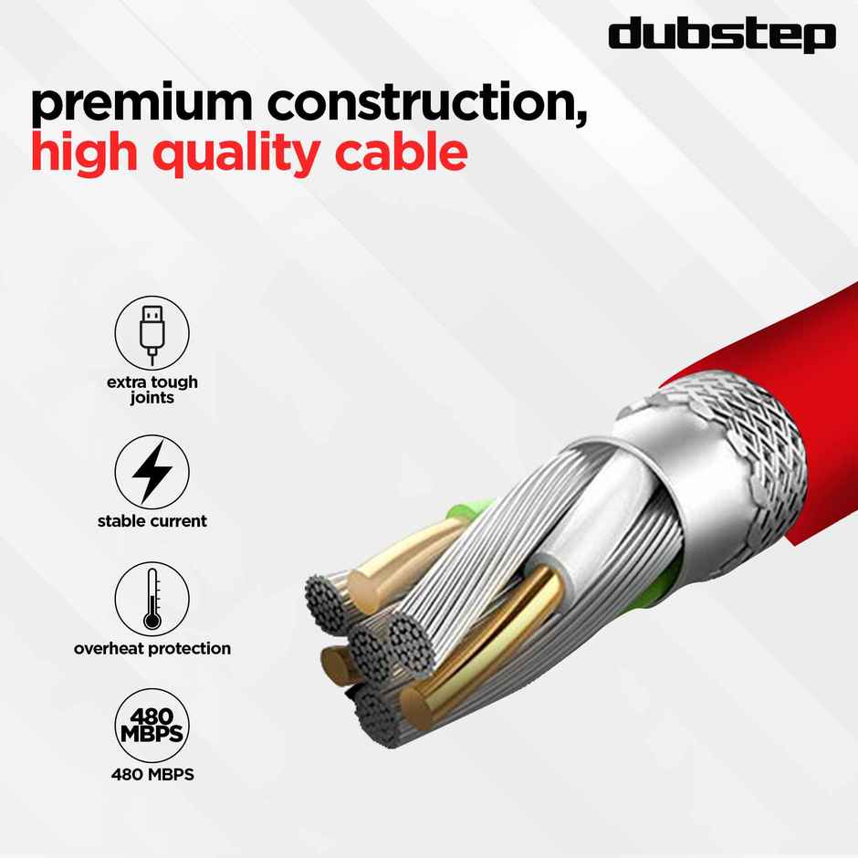Dubstep Blaze Ultra 65W 6A Fast Data Charging Type C To Type C Cable (Red)