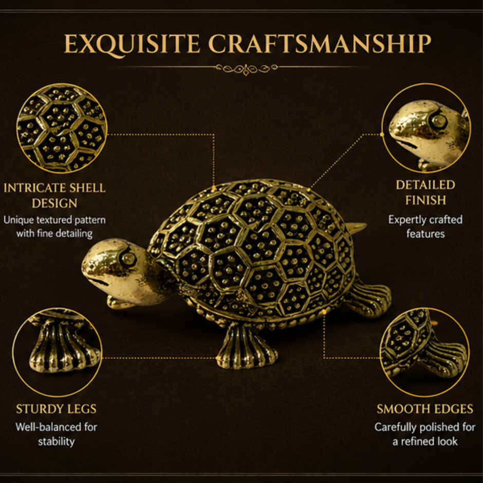 Pure Brass Tortoise | Estoria Collective