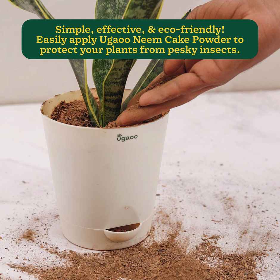 Ugaoo Neem Cake Powder for Plants