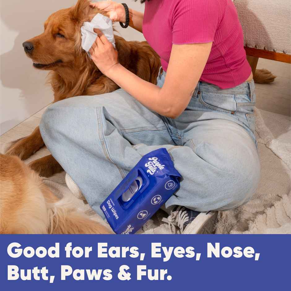 Purple Tails Plant Based Dog Wipes | Unscented | 100 Pulls Per Pack