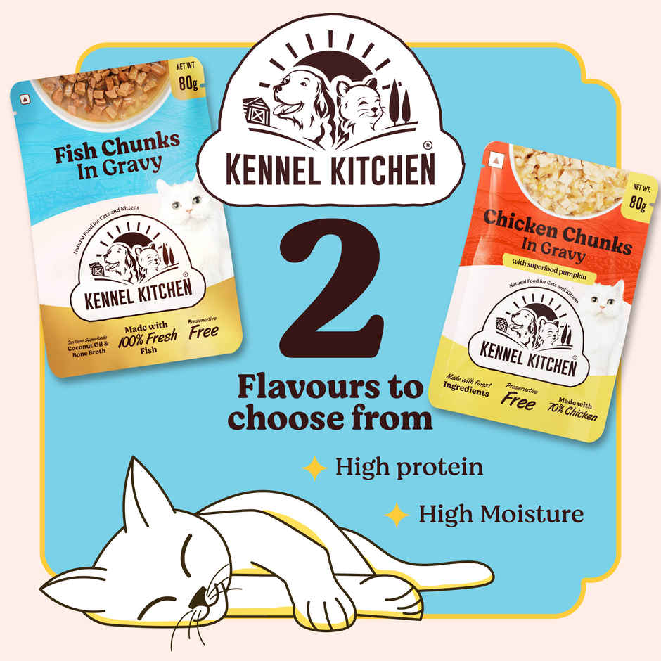 Kennel Kitchen Fish Chunks in Gravy | Wet Cat Food