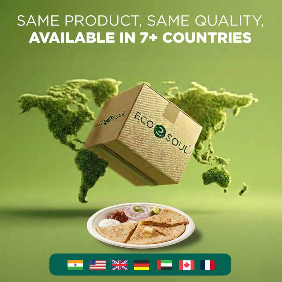 ECO SOUL | Bagasse Disposable Plates | 12 Inch | Round | 10 Count