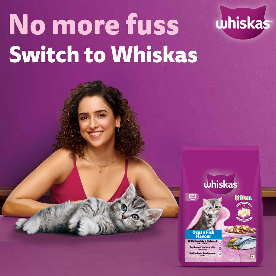 Whiskas Kitten Dry Cat Food | 2 to 12 Months | Ocean Fish