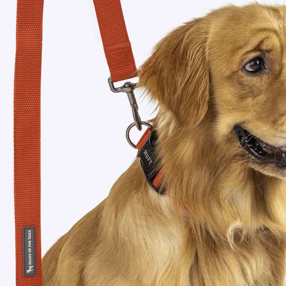 HUFT Basics Dog Leash - Crimson Red - L