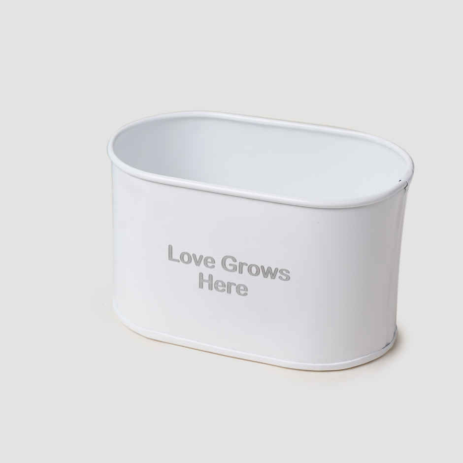 FNP Garden Lover Rakhi Gift Hamper