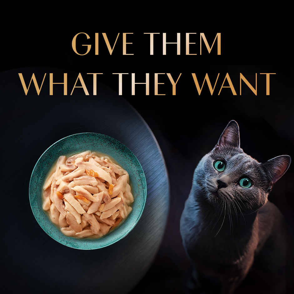 Sheba Rich Adult Fish with Dry Bonito Flavour Wet Cat Food Combo