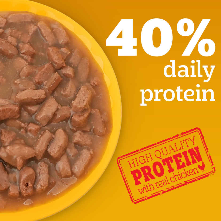 Pedigree Adult Chicken & Liver Chunks In Gravy Wet Dog Food