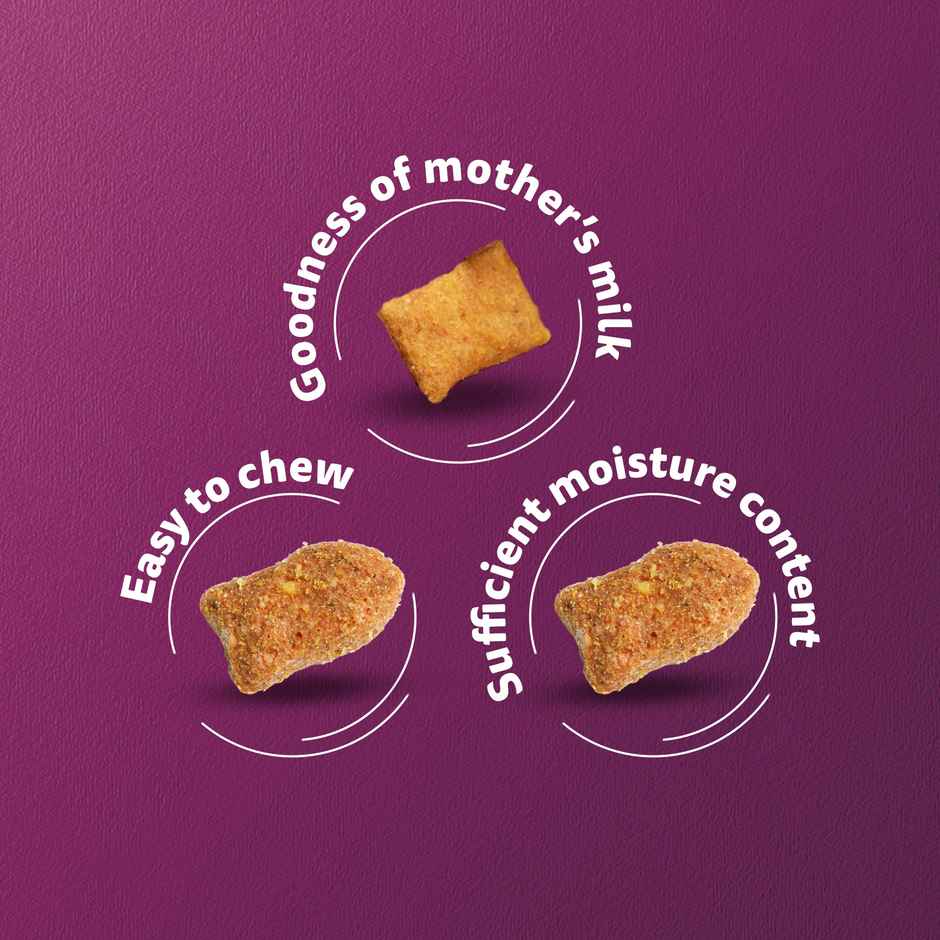 Whiskas Kitten Dry Cat Food, Mackerel Flavour | 2-12 months