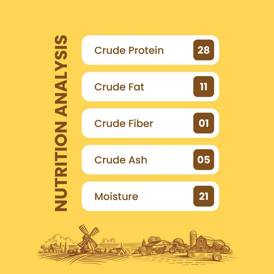 Dogfest Ostrich Medallions Dog Treat |100% Natural Dog Snack | Human-Grade Dog Treats