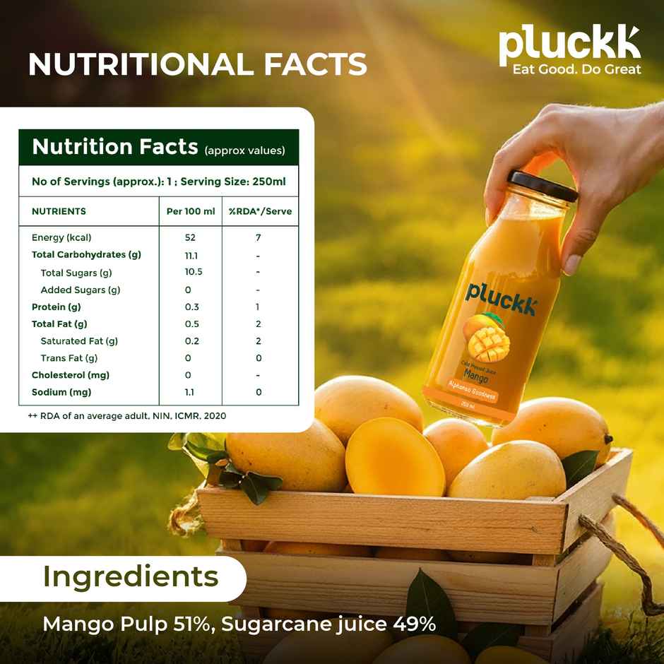 Pluckk Cold Pressed Extracted Mango Juice | No Preservatives | No Added Sugar