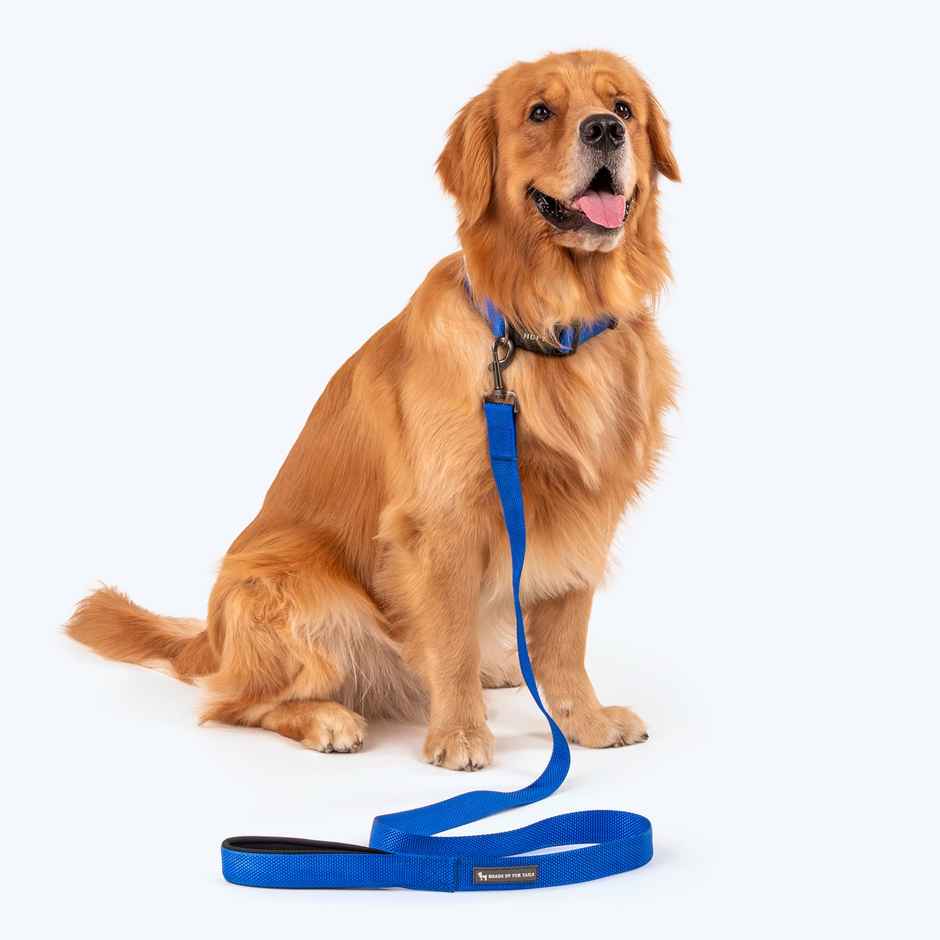 HUFT Basics Leash Blue L