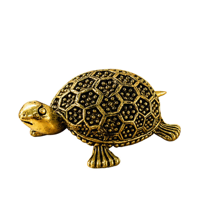 Pure Brass Tortoise | Estoria Collective