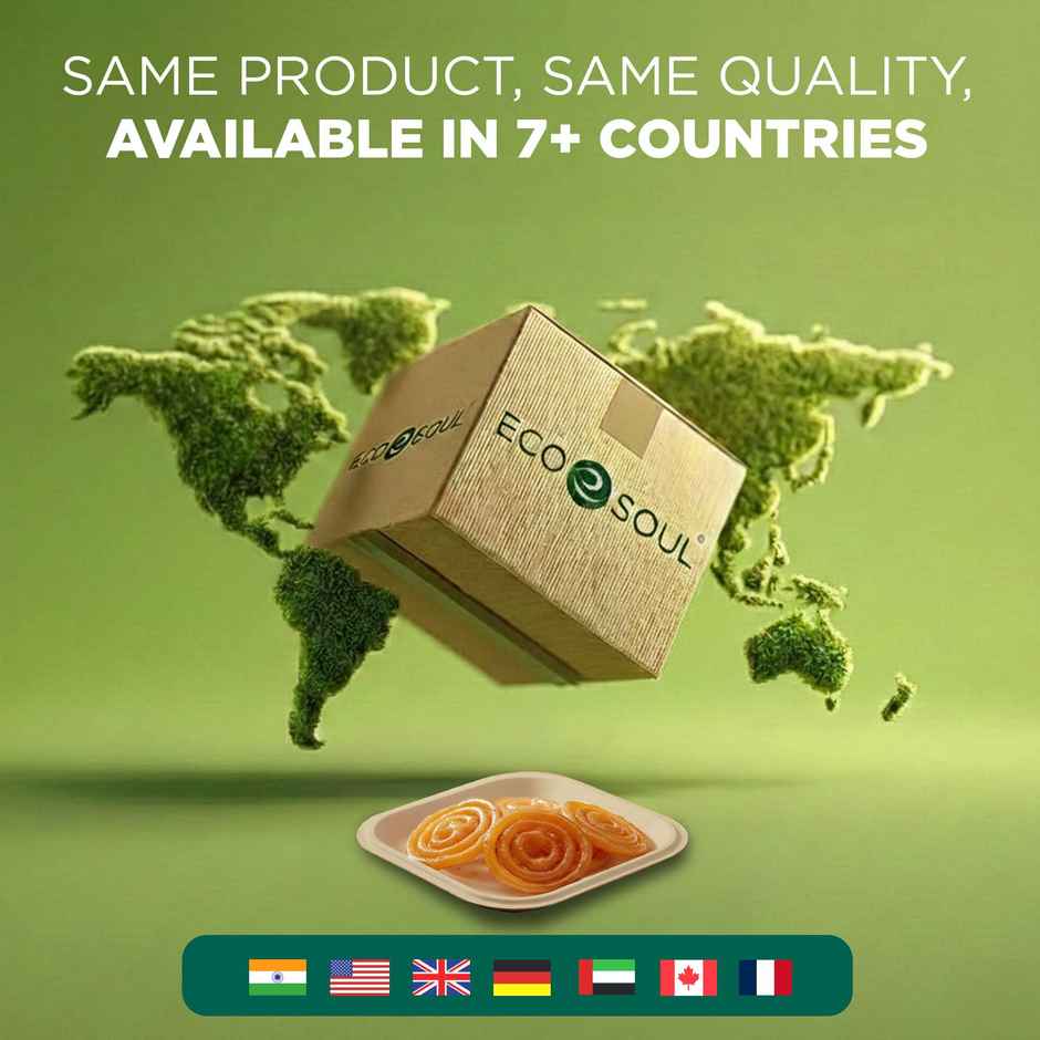 ECO SOUL | Bagasse Disposable Plates | 6 Inch | Square | 25 Count