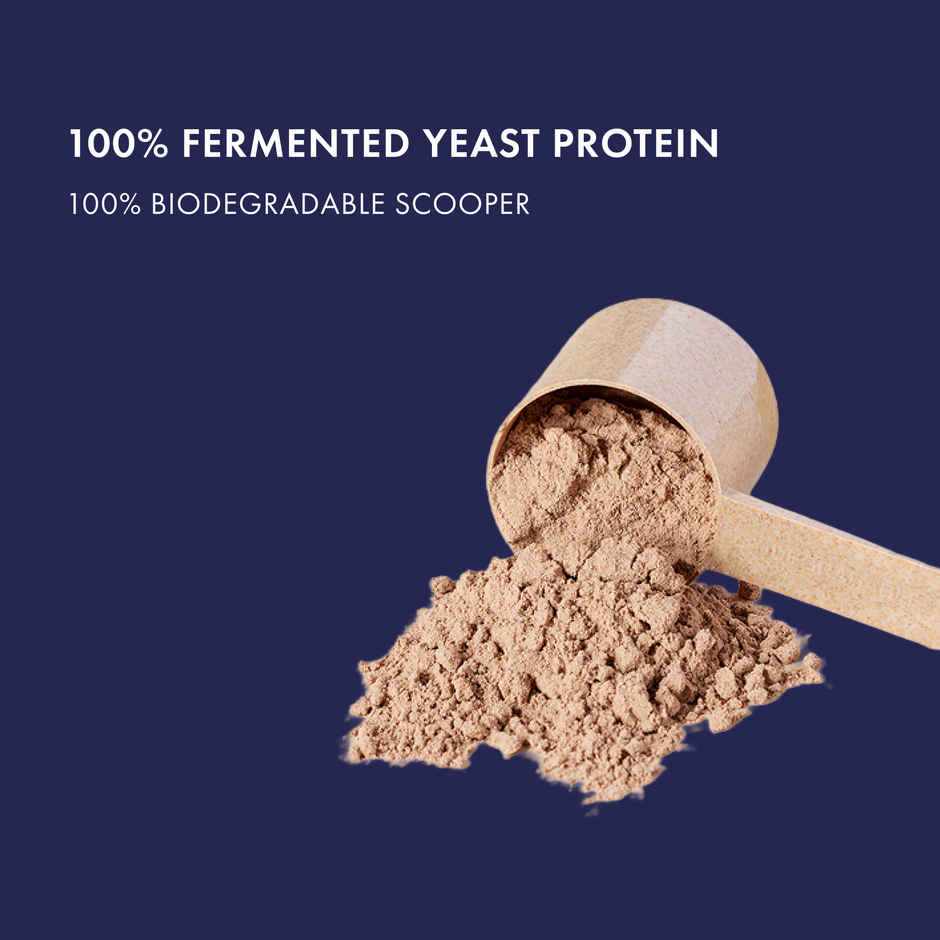 Cosmix Fermented Yeast Protein Powder | Pure Single-Source Plant Protein | Indonesian Cacao