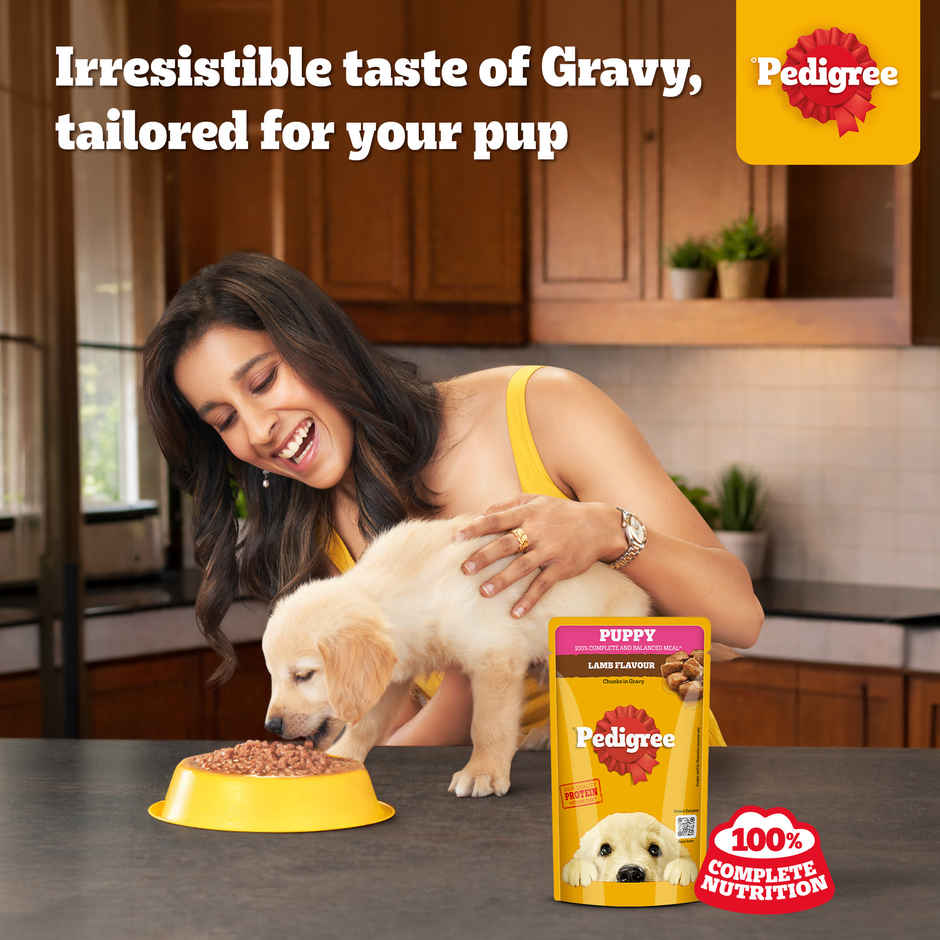 Pedigree Puppy Lamb Flavour Chunks In Gravy Wet Dog Food