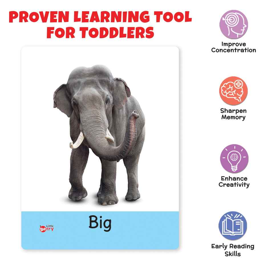 Little Berry Opposite Flash Cards For Kids (32 Cards) | Fun Learning Toy For 2-6 Years - Lb8