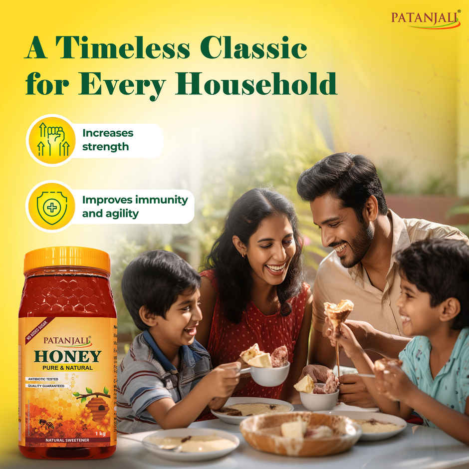 Patanjali Pure Natural Honey - No Added Sugar
