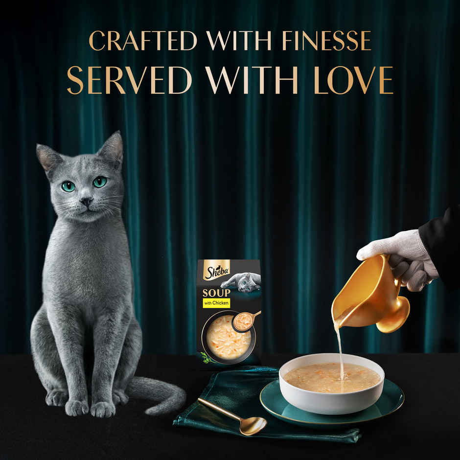 Sheba Soup With Chicken Premium Adult Wet Cat Food Pouches | Tender & Tasty Delight