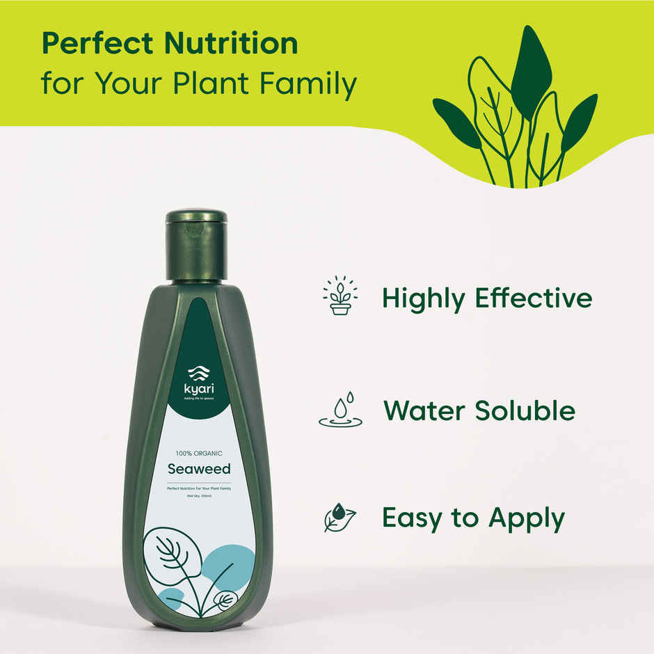 Kyari Seaweed Oil for Plants | 250 ml