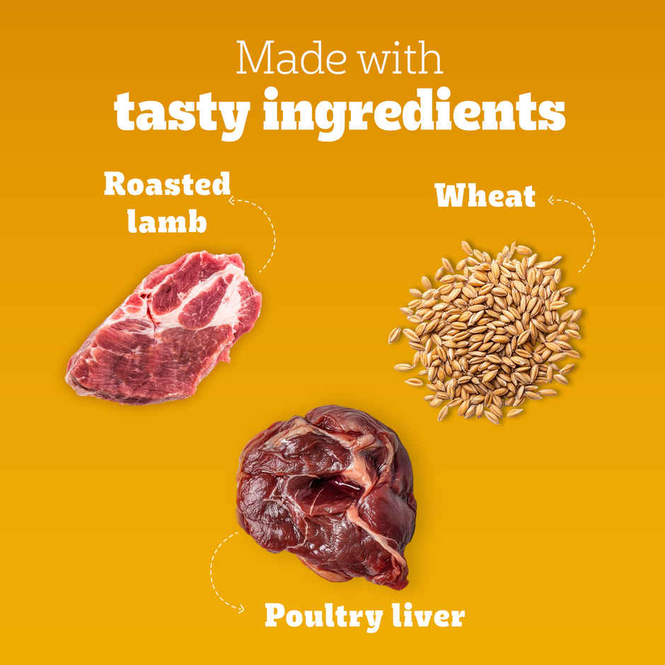 Pedigree Adult Tasty Jerky Roasted Lamb Flavour Dog Treat