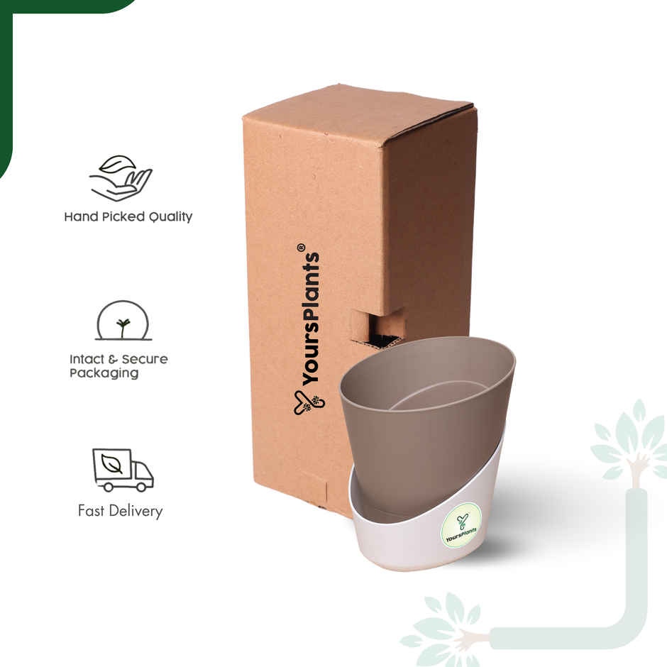 Yoursplants Atlantis - 4 Inch Mocca Pot | Pack Of 1