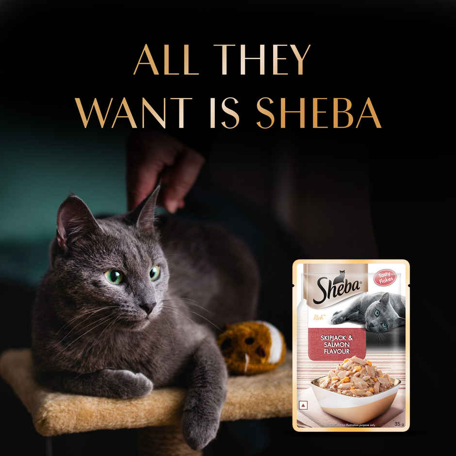 Sheba Rich Adult Skipjack & Salmon Flavour Wet Cat Food