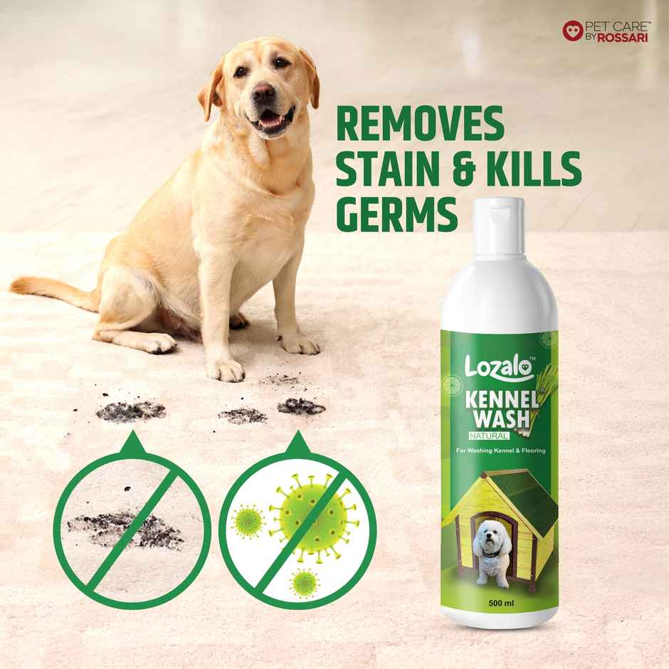 Lozalo Kennel Wash Liquid for Dog Kennel Flooring Pet Shops Clinics Salons Green