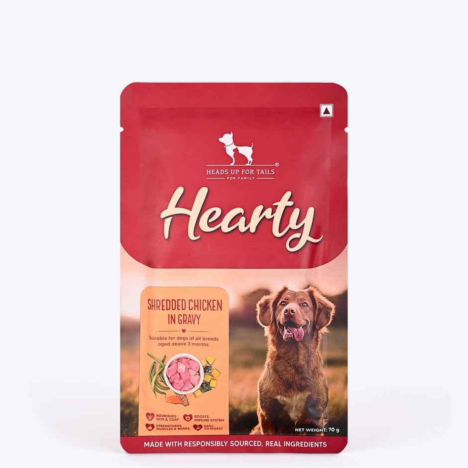 HUFT Hearty Shredded Chicken & Pumpkin In Gravy Dog Wet Food