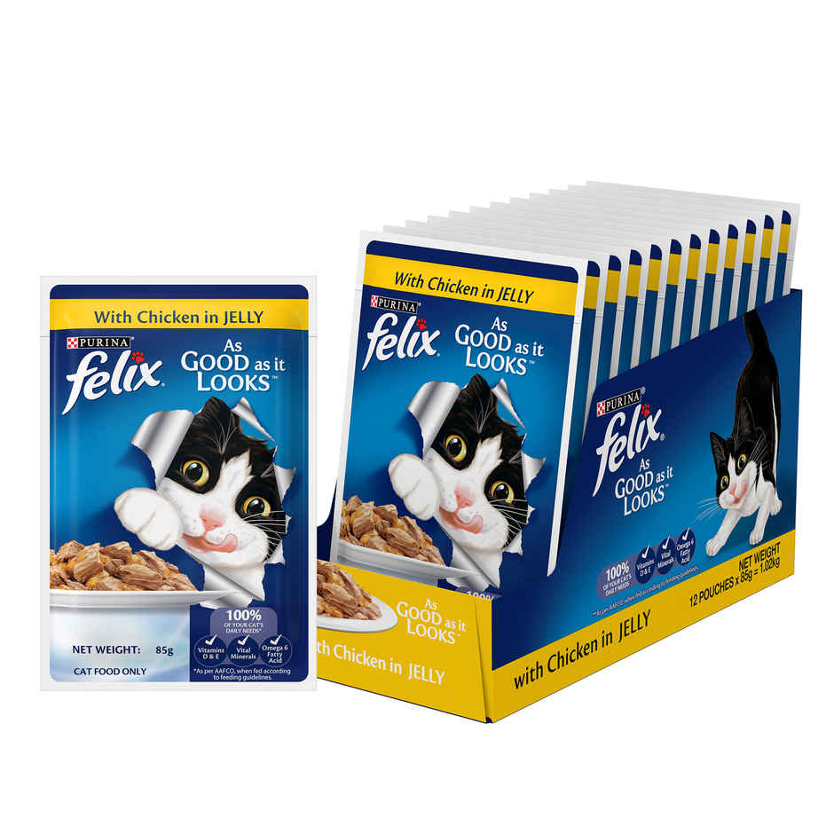 Felix Chicken Jelly Wet Cat Food Adult | Complete & Balanced