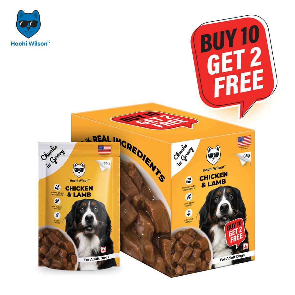 Hachi Wilson Premium Chicken & Lamb chucks in gravy