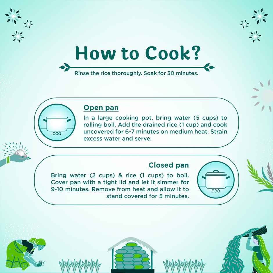 India Gate Dubar Basmati Rice | Long Slender Grains