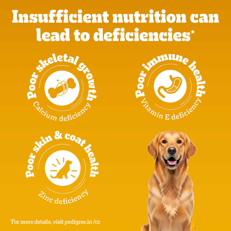 Pedigree Adult Chicken & Vegetables Dry Dog Food