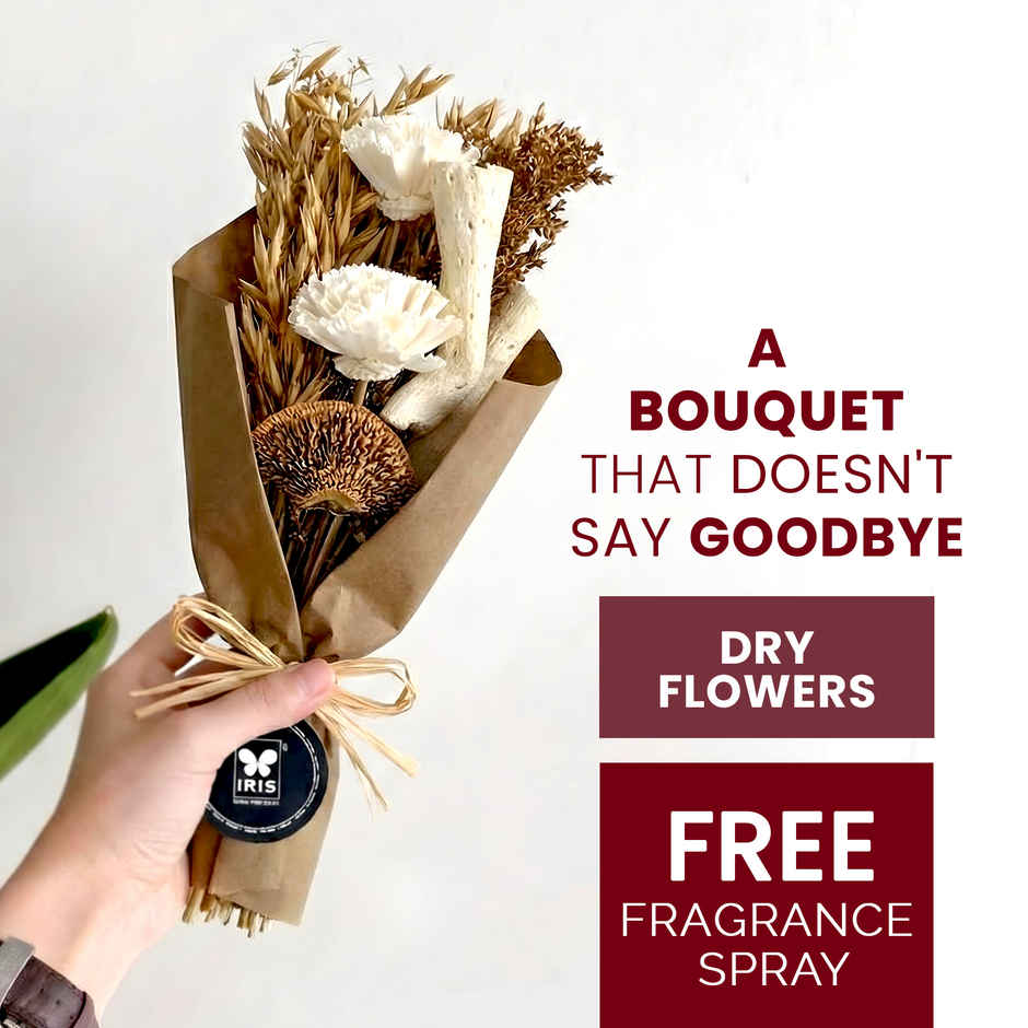 Ivory Blooms Dry Flower Bouquet with Fragrance Spray | Ideal for Gifting | IRIS