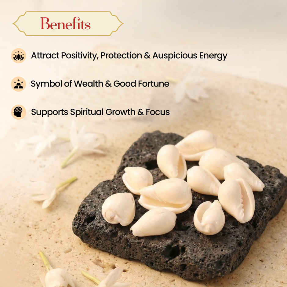 Vishnu Kauri | Symbol of Bhagwan Vishnu | Brings Spiritual Growth and Peace | Pujashree