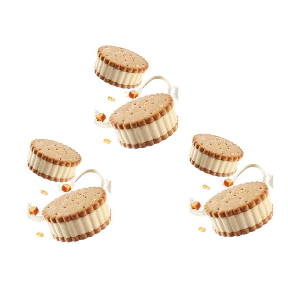 Arun Sea Salt Caramel Gronola Ice Cream Sandwich Combo 